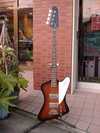 Epiphone Japan Thunder Bird.jpg